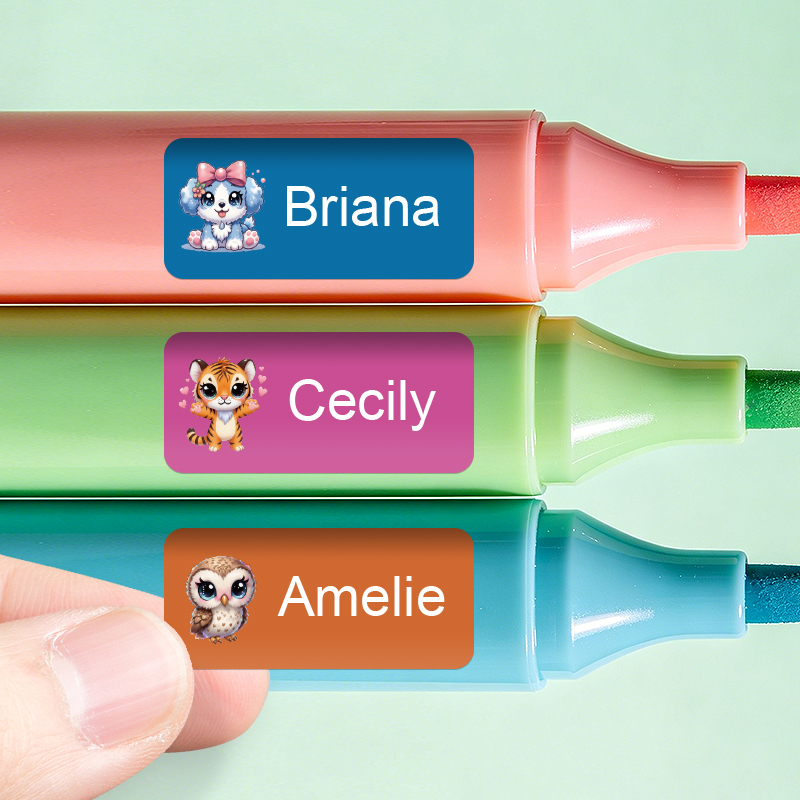 Персонализированные наклейки с – обзор и цена Personalized Name Box
